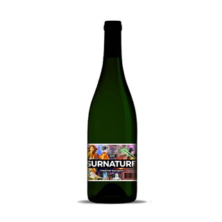 les-vintrepides-surnaturel