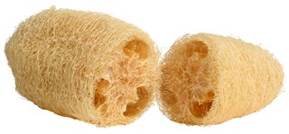 Loofah Packshot